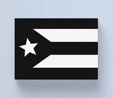 Pañuelo (bandana) PR