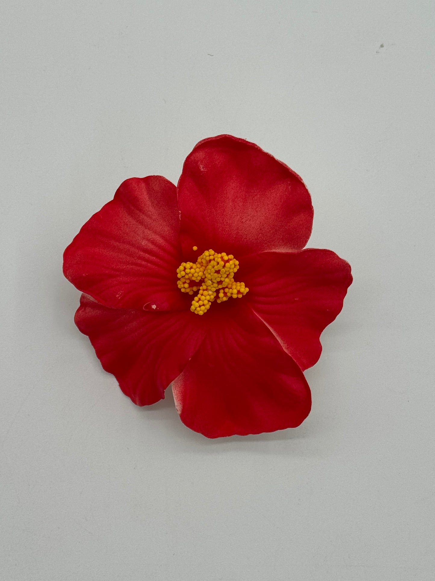 Flor Maga