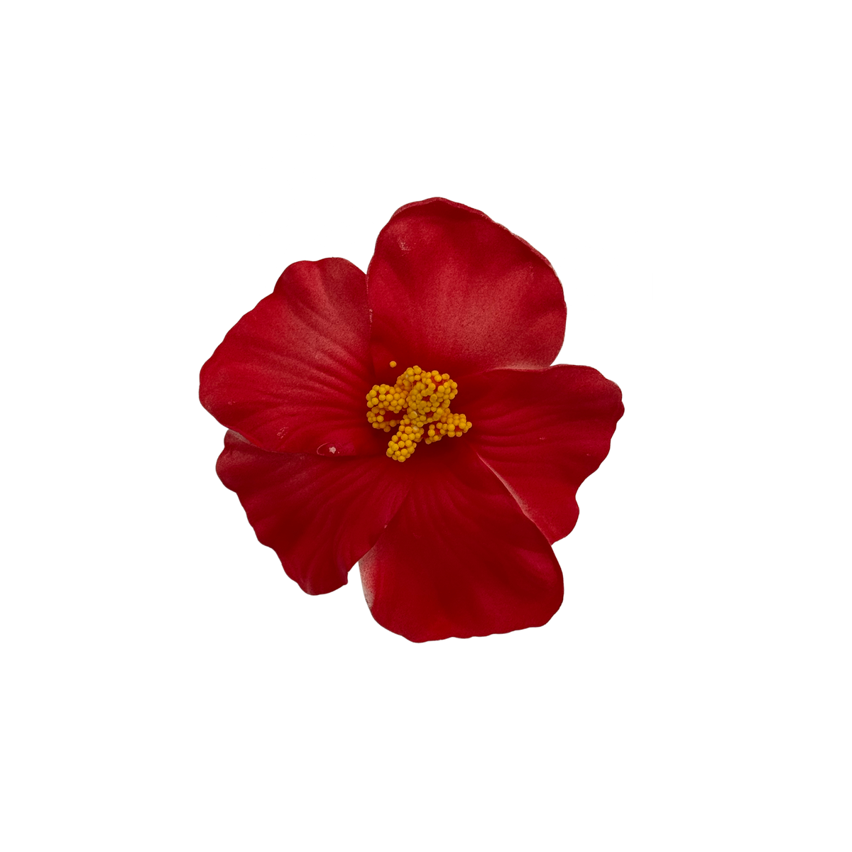 Flor Maga