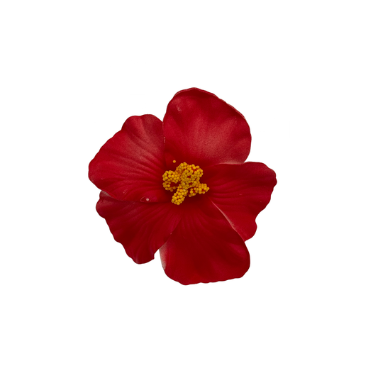 Flor Maga